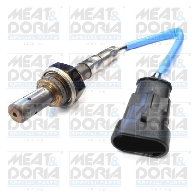 Oxygen Sensor